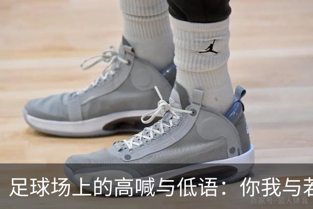 足球场上的高喊与低语：你我与若塔的故事
